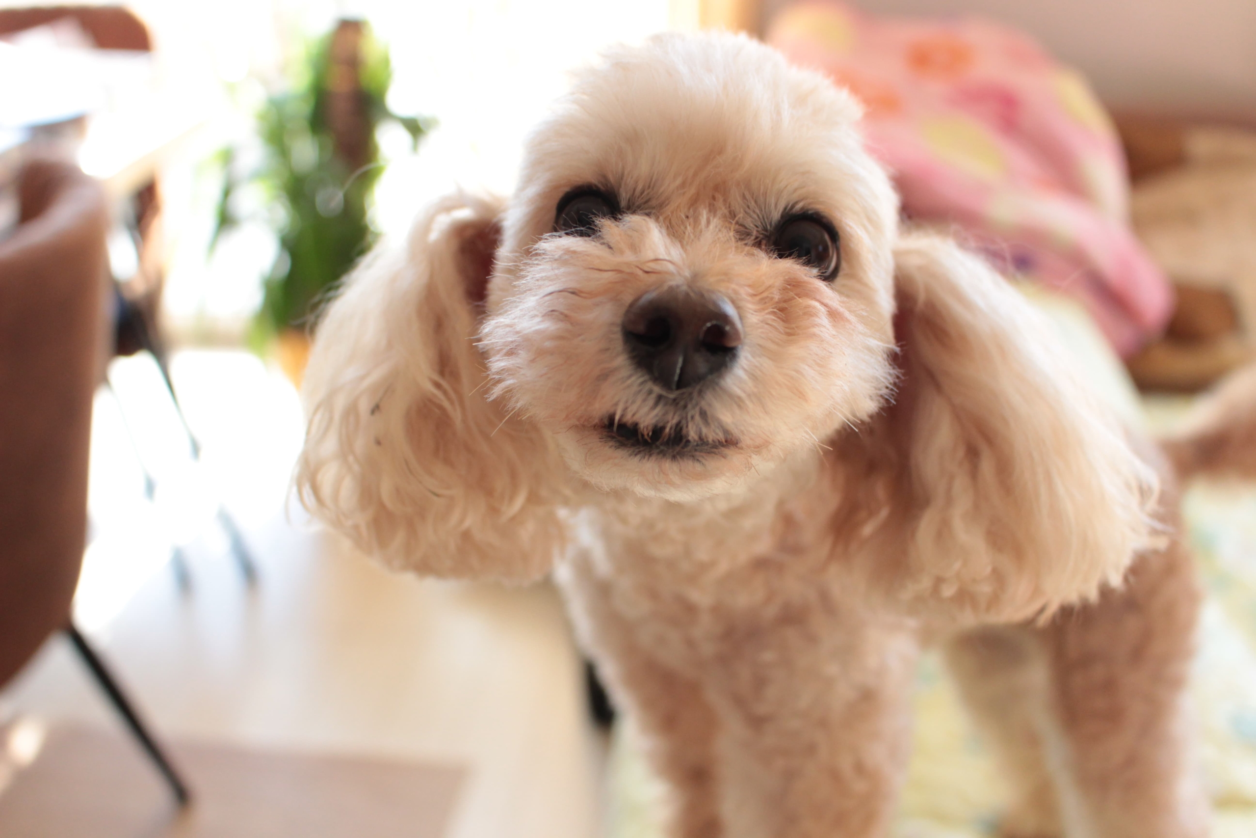 M様邸お引渡しいたしました。