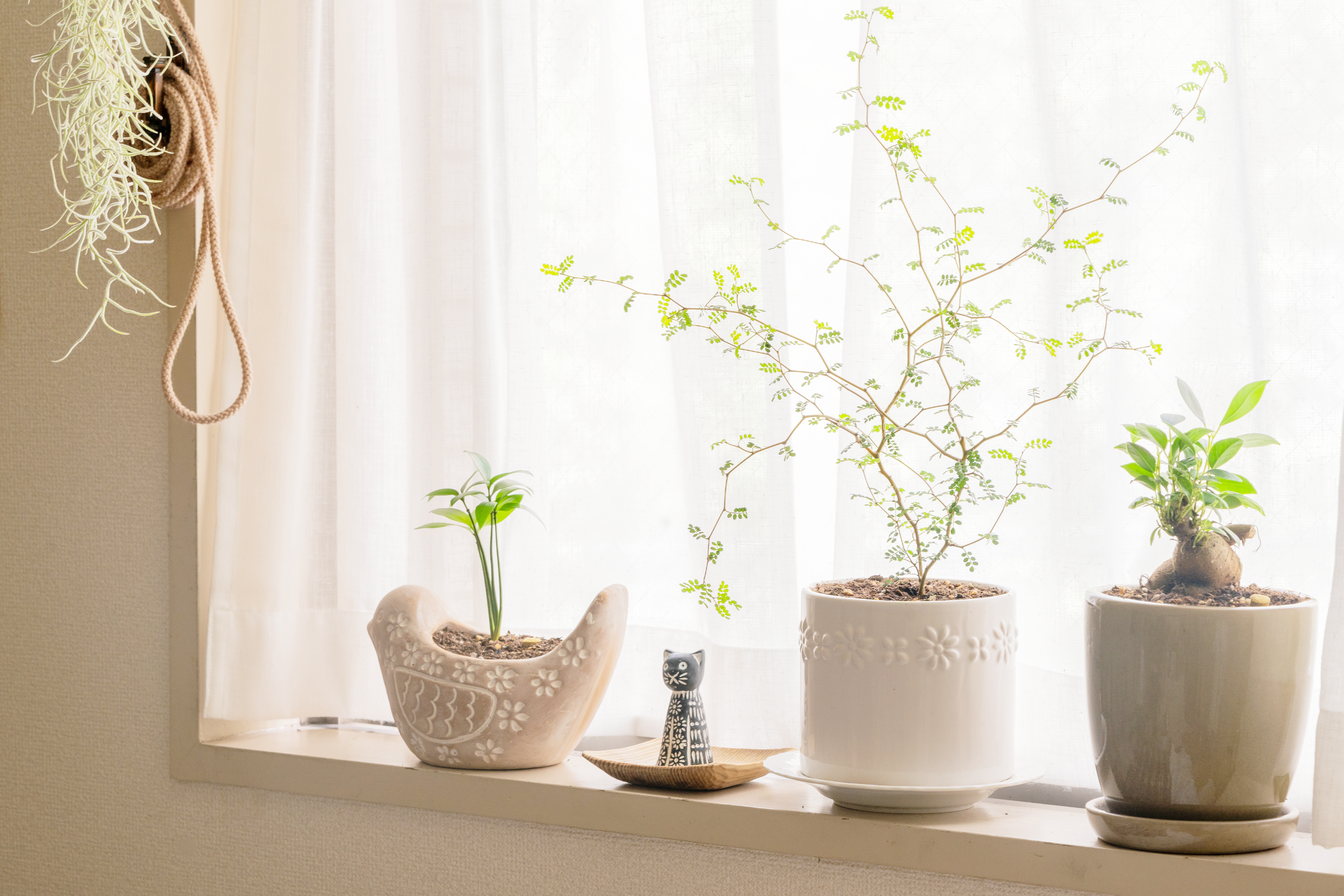 Ⅰ様邸お引渡しいたしました。